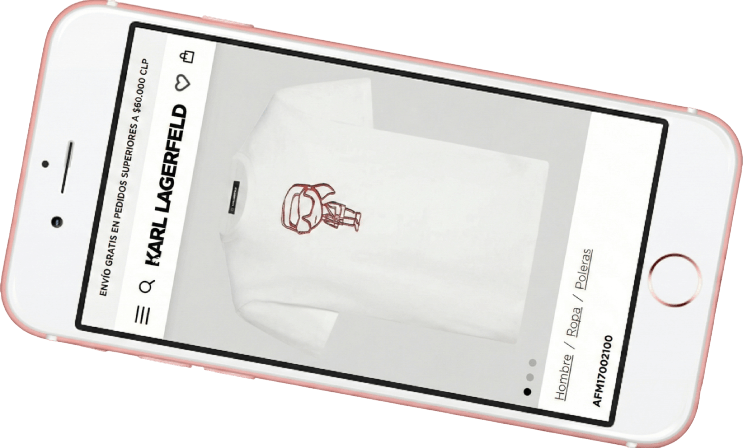 Web Consultant for Karl