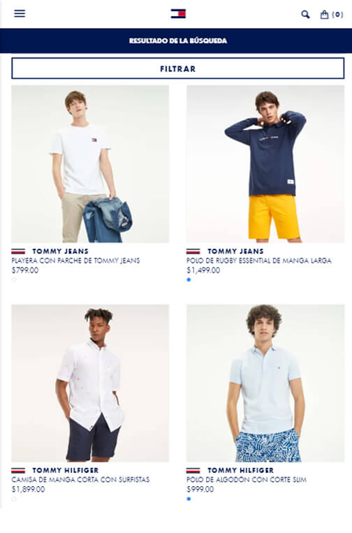 Web Consultant for Tommy Hilfiger