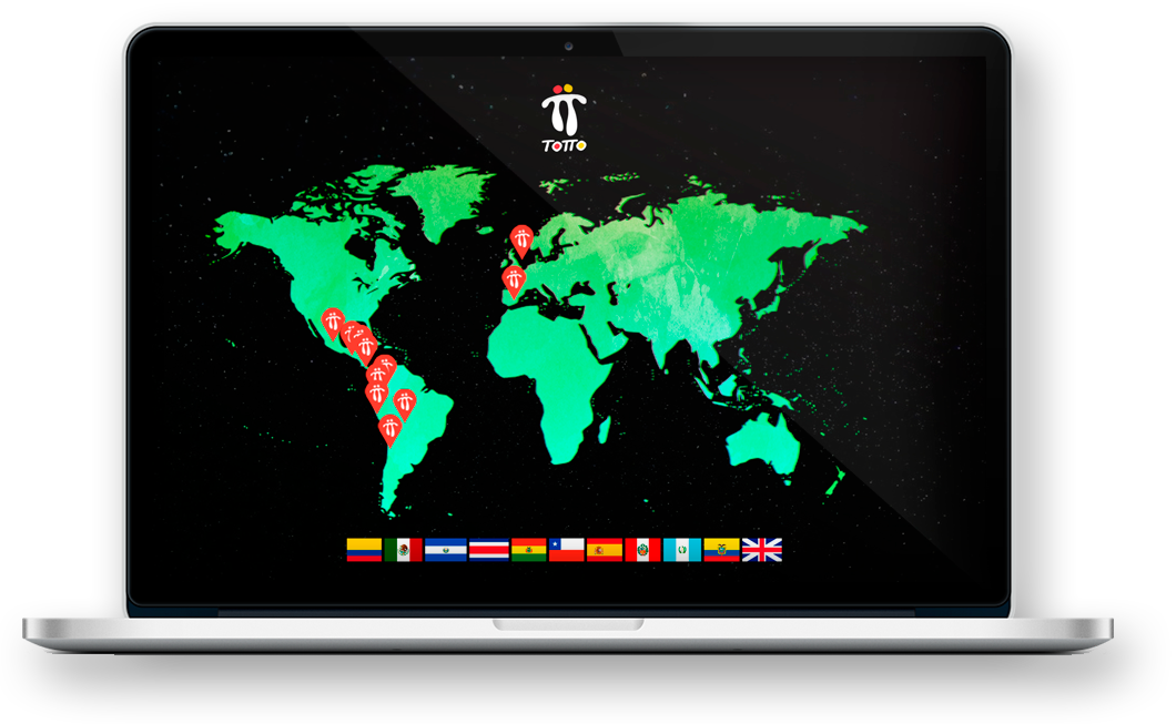 Web Consultant for Totto